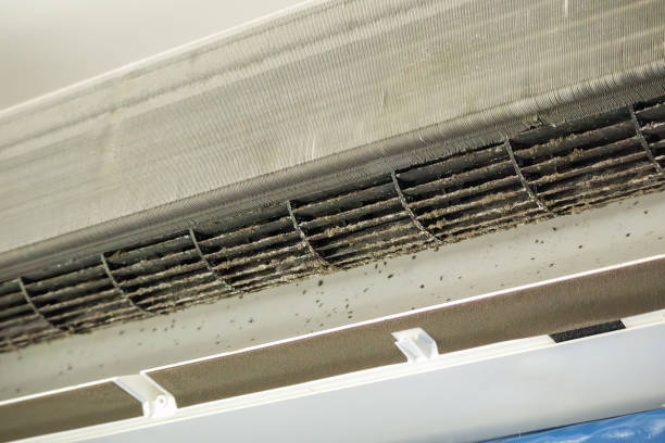 Best Affordable Air Duct Cleaning  in Sconsin Rapids, WI