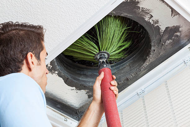 Air Duct Mold Removal in WI