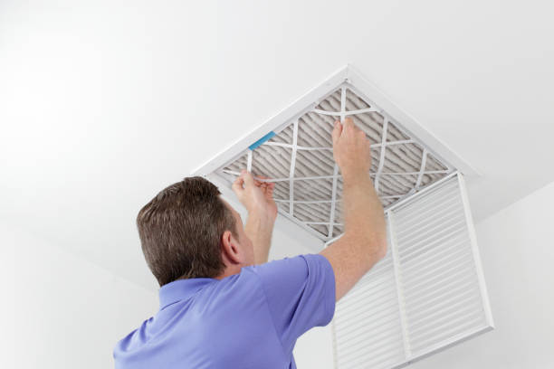 Best Air Duct Mold Removal  in Sconsin Rapids, WI